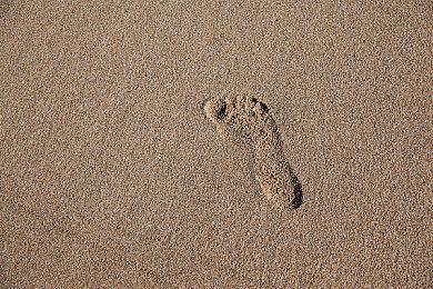 《Apex英雄》宣布将调整货币全球售价 国区或受影响